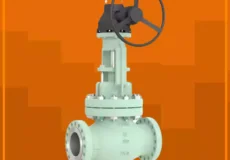 تأمین کننده قابل اعتماد و با تجربه شیر گلوب