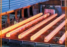 کاهش قیمت، نوردکاران را خریدار کرد