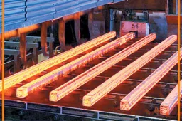 کاهش قیمت، نوردکاران را خریدار کرد